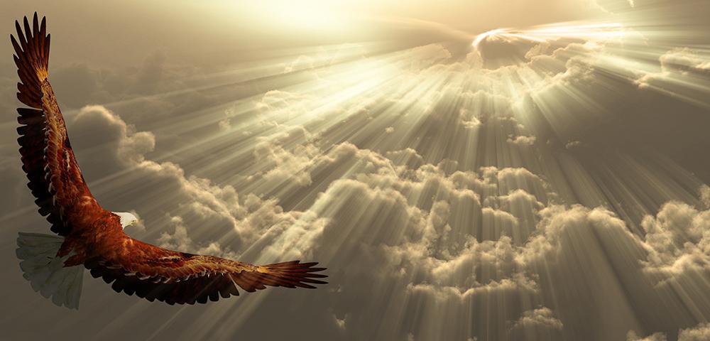 Eagle in clouds
