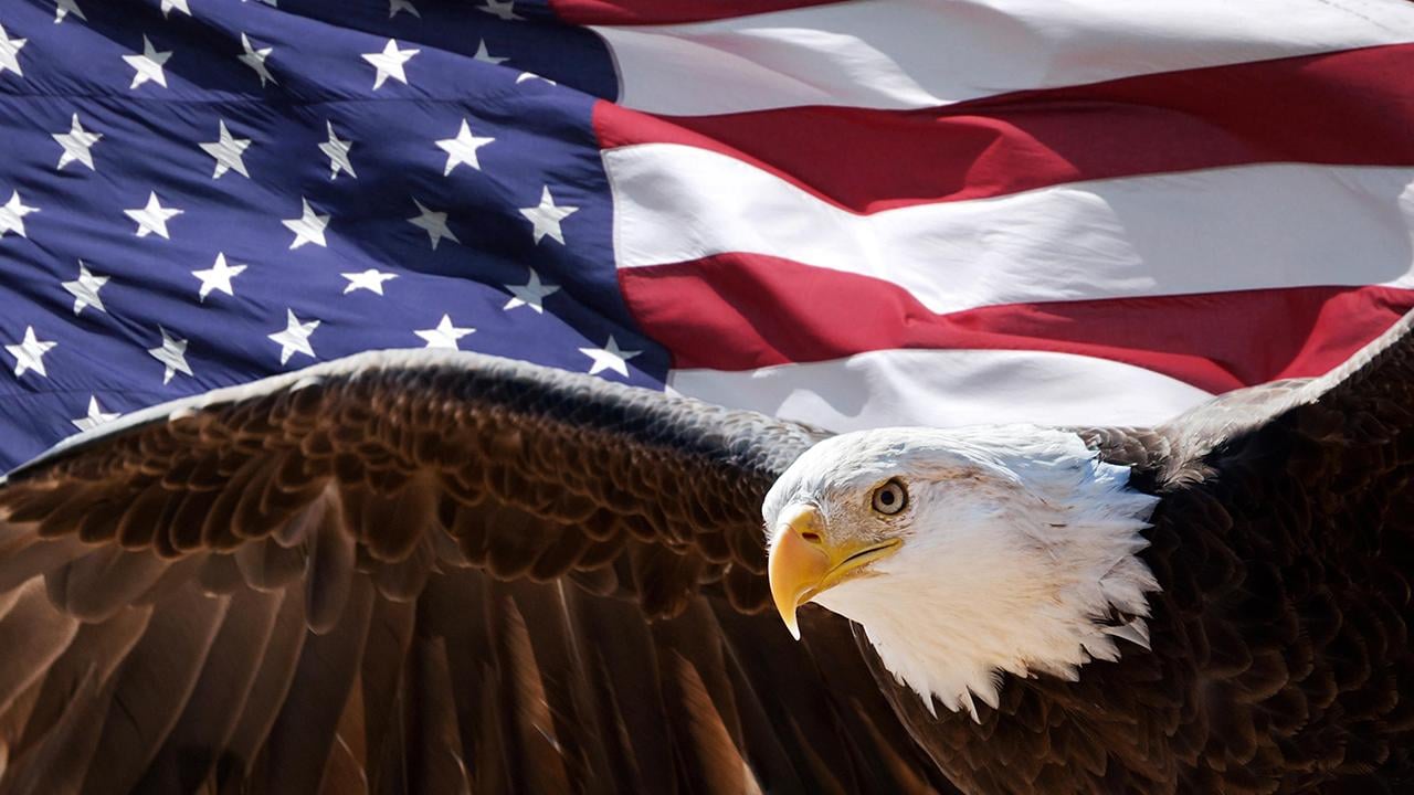 Eagle with American Flag