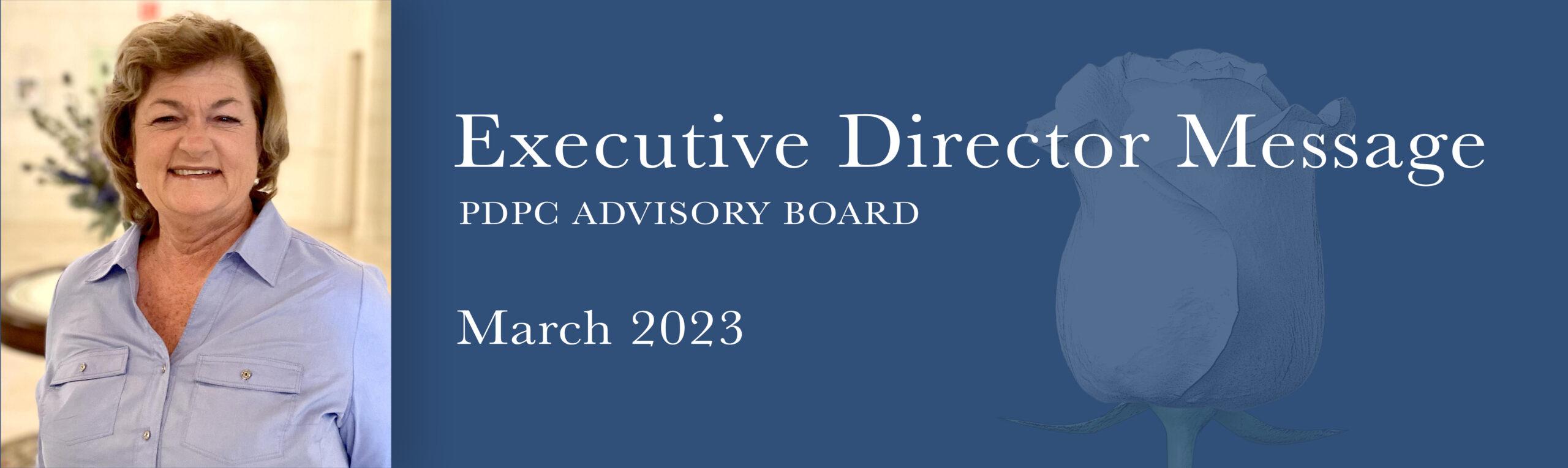 PDPC Executive Director's Message